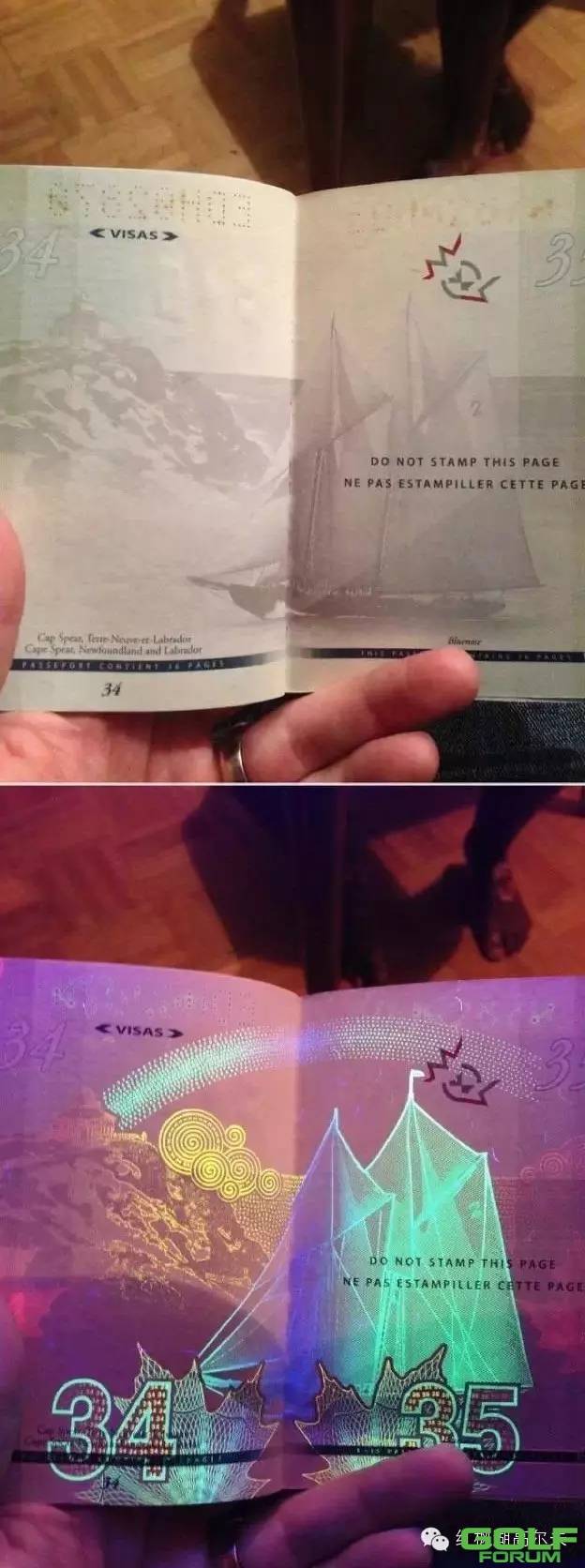 【红枫会】原来中国护照这么美！