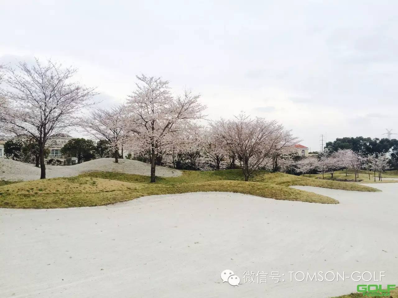 2016年汤臣上海浦东高尔夫球场春季开杆赛圆满收杆