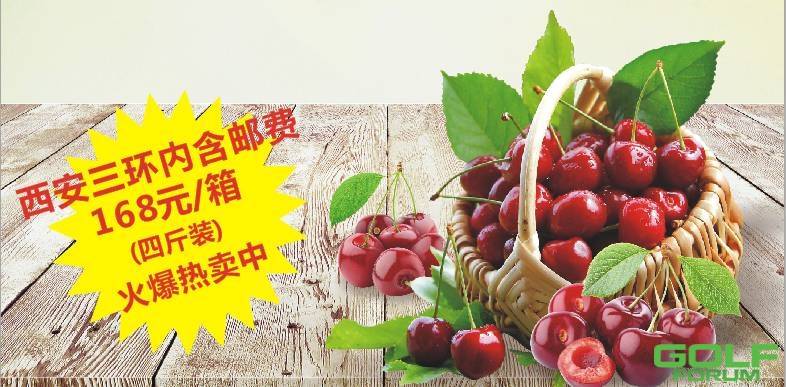 金花秦岭生态农产品精品樱桃正当时热销中！！！