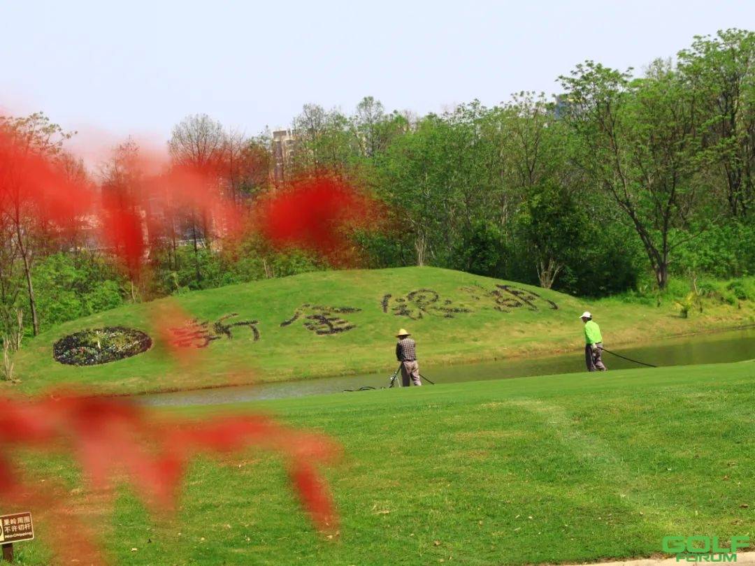 4月15日武汉金银湖高尔夫俱乐部恢复营业啦！