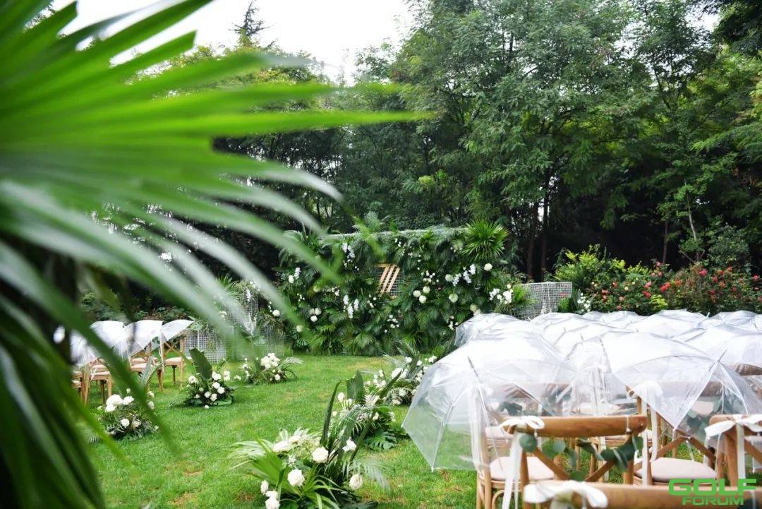金沙湖畔，一场拥抱自然的草坪婚礼（附2021年结婚吉日） ...