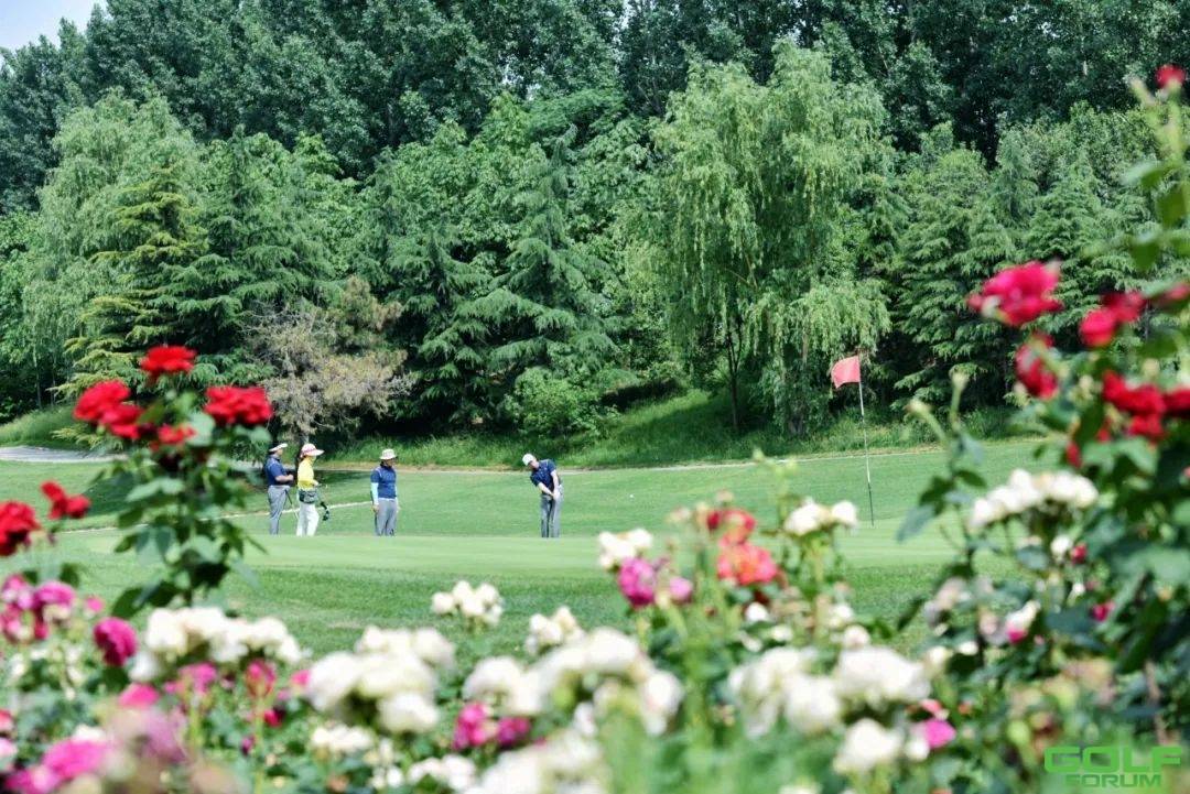 2020郑州大学EMBA高尔夫球队五月例赛热情开杆