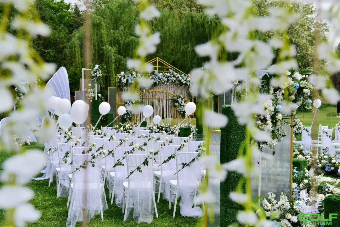 草坪婚礼|在金沙湖鉴证清新自然的唯美婚礼