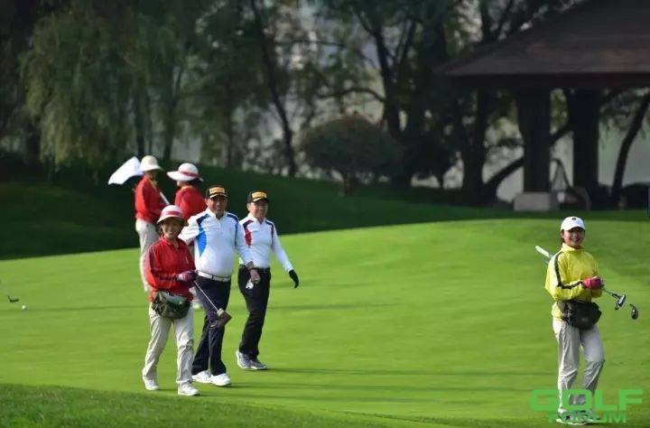 2017全国业余高尔夫超级联赛总决赛·河南赛区球队风采 ...