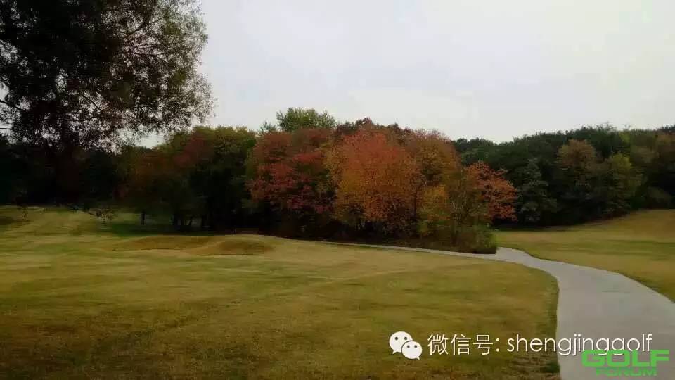 深秋的盛京高尔夫球场