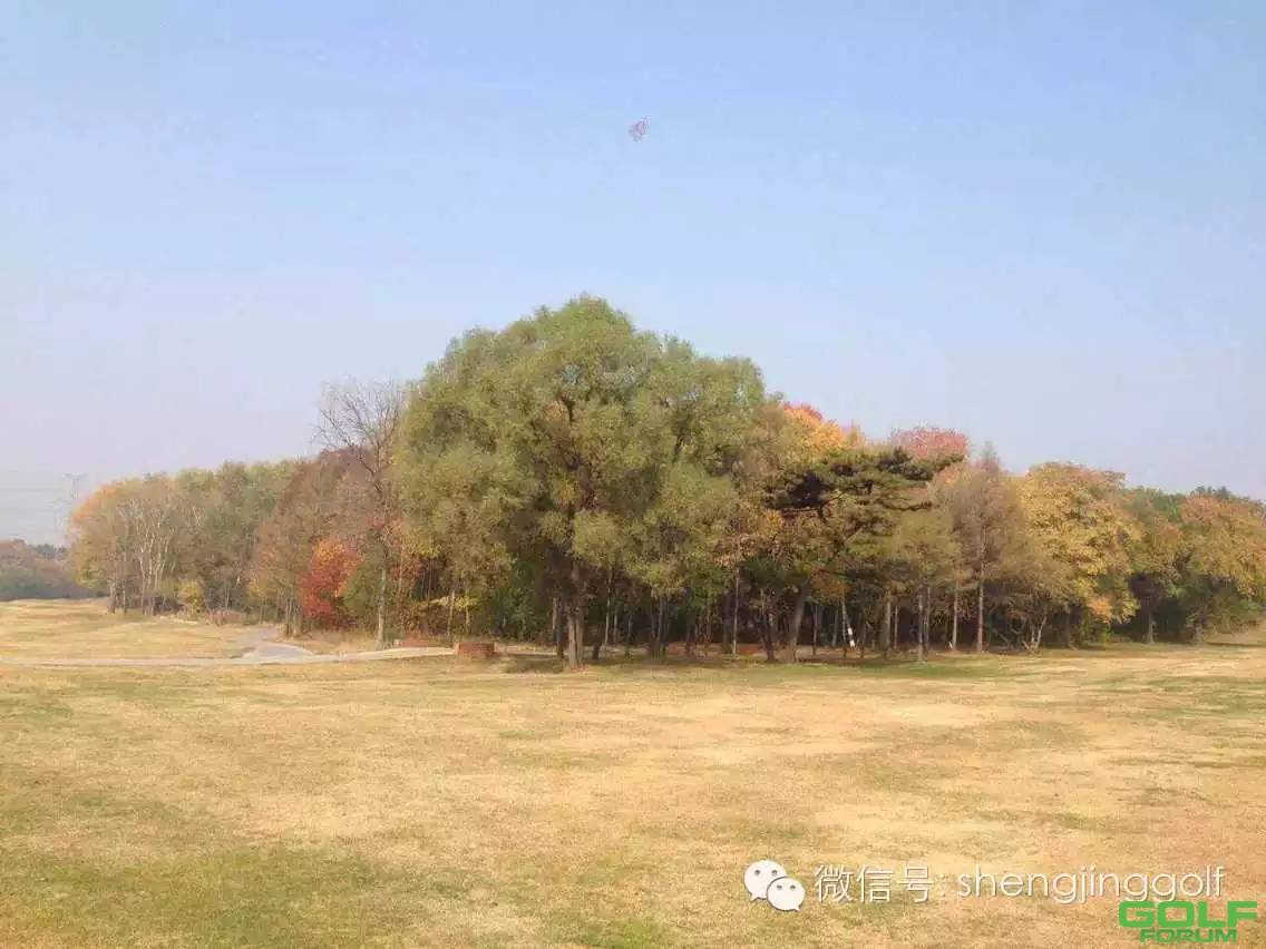 在秋天，邂逅美丽的盛京高尔夫球场