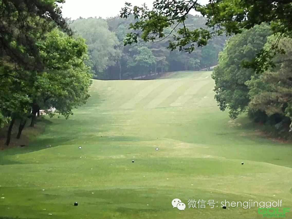 盛京高尔夫--《春夜喜雨》