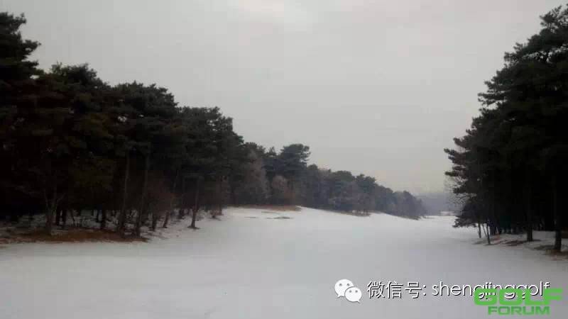 盛京冬日风景