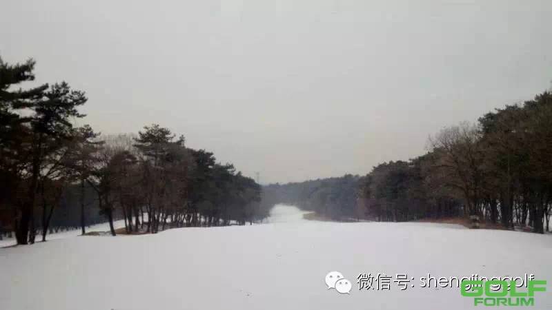 盛京冬日风景
