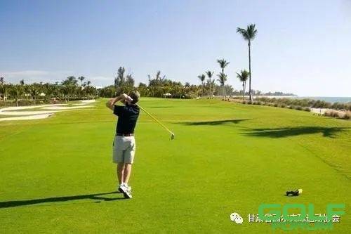 甘肃省高尔夫球运动协会关于长期招募实习生的公告