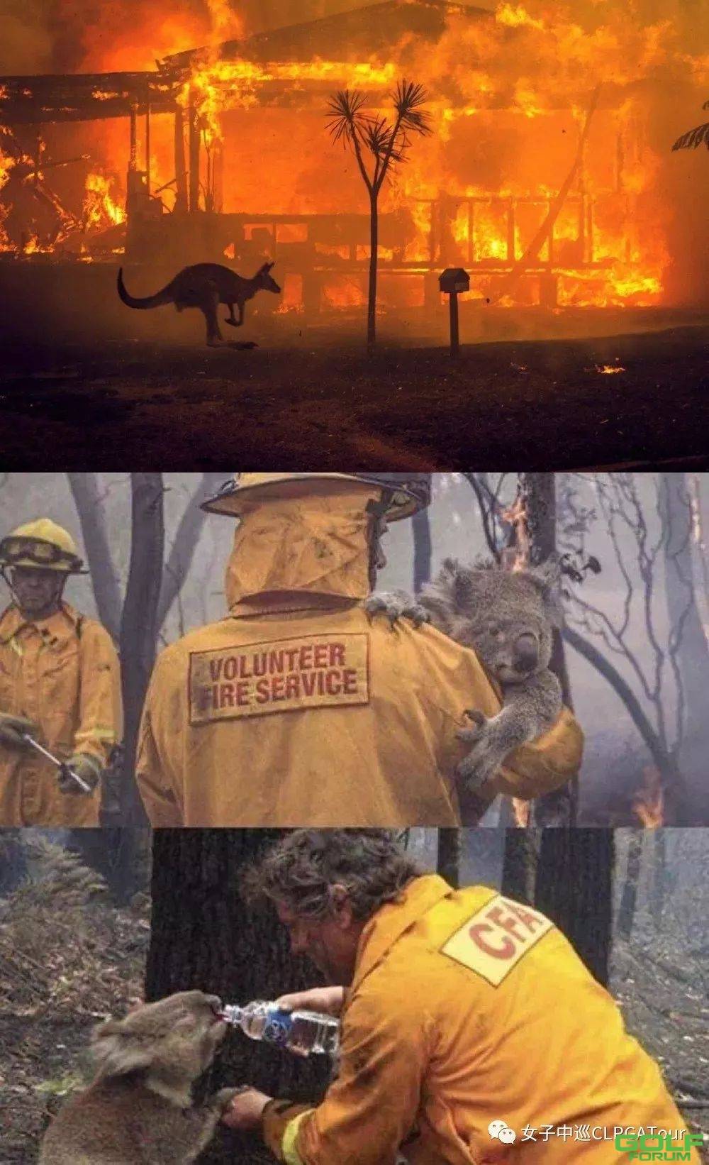 撑起颜值与实力的是善良！面对澳洲大火，这个家族不简单… ...