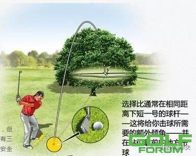 三种方法逾越高尔夫球场的树障碍