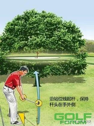 三种方法逾越高尔夫球场的树障碍