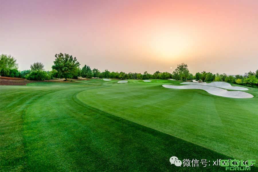 沙漠奇迹一睹迪拜五个顶级高尔夫球场