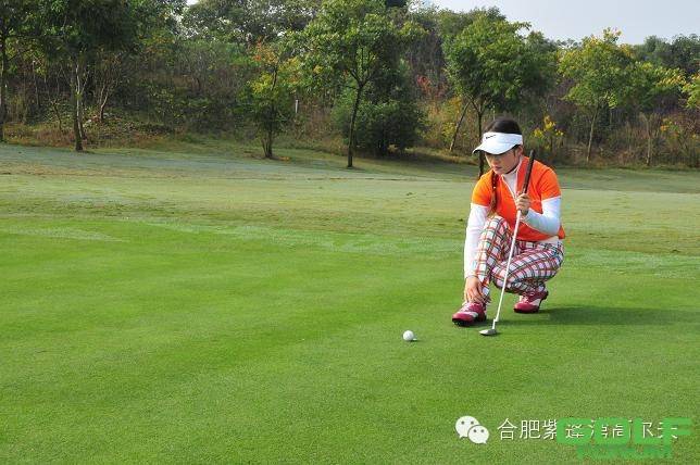 【活动】2014紫蓬湾高尔夫员工杯风采