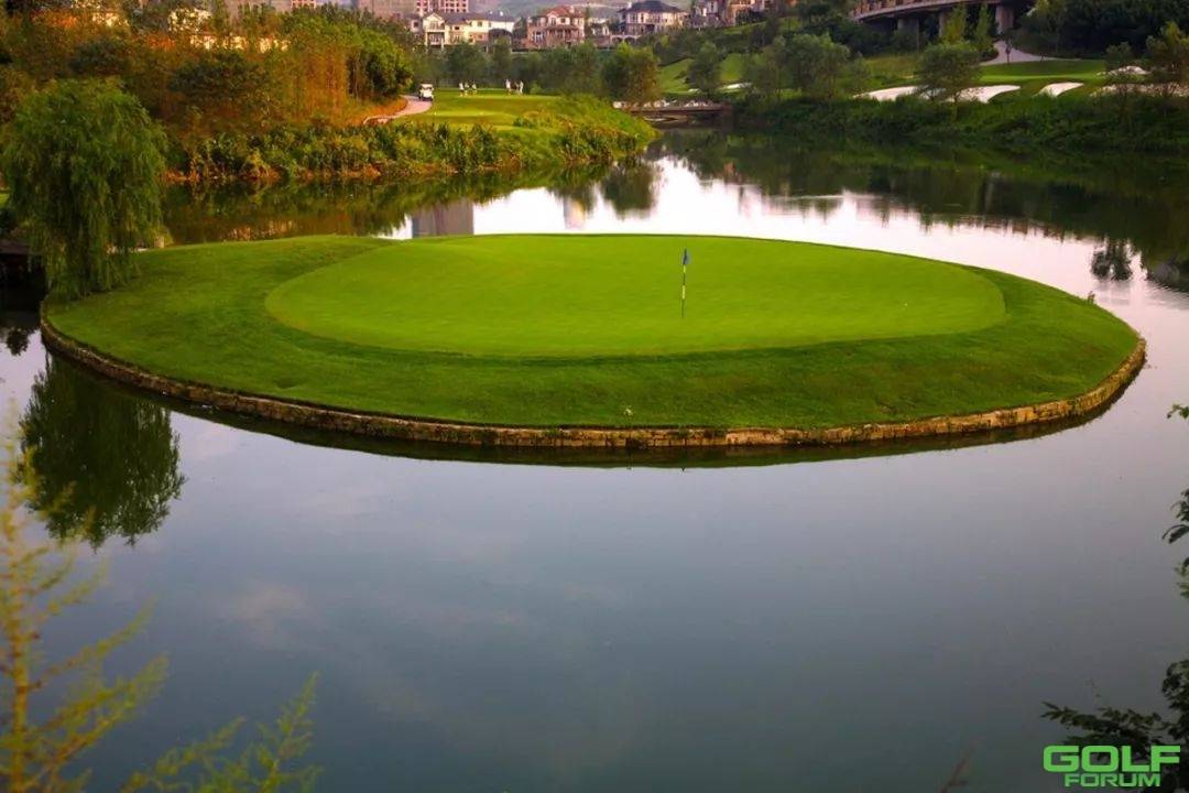 重庆市高尔夫球协会换届大会在保利球会圆满举行