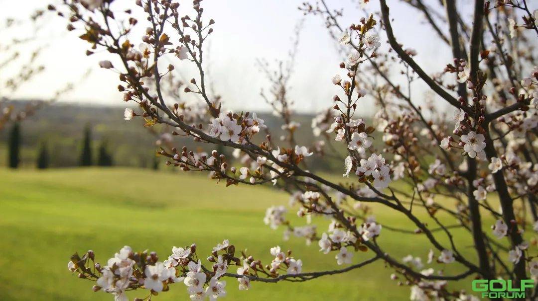 天泰山高尔夫学院周令营|来小镇拥抱春天和自然