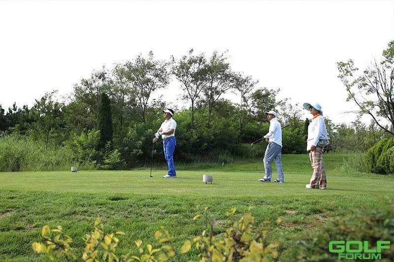 2015青岛保时捷高尔夫邀请赛在天泰温泉高尔夫完美收杆 ...