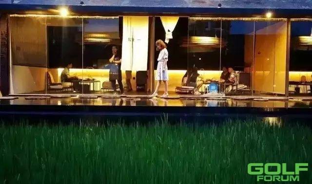 活力深蓝：小镇出发的乡村场景，离你最近的稻田餐厅 ...