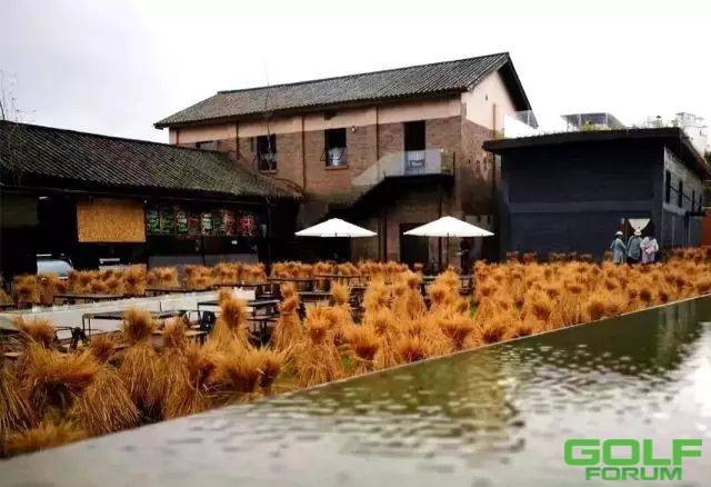 活力深蓝：小镇出发的乡村场景，离你最近的稻田餐厅 ...