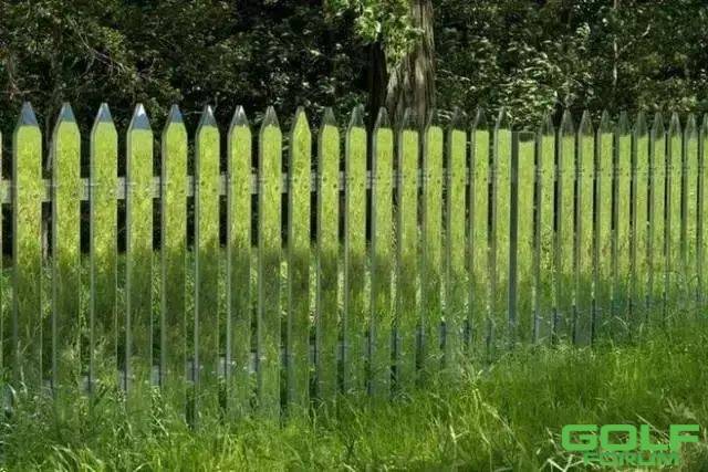 院落时光：庭院篱笆也能七十二般变化