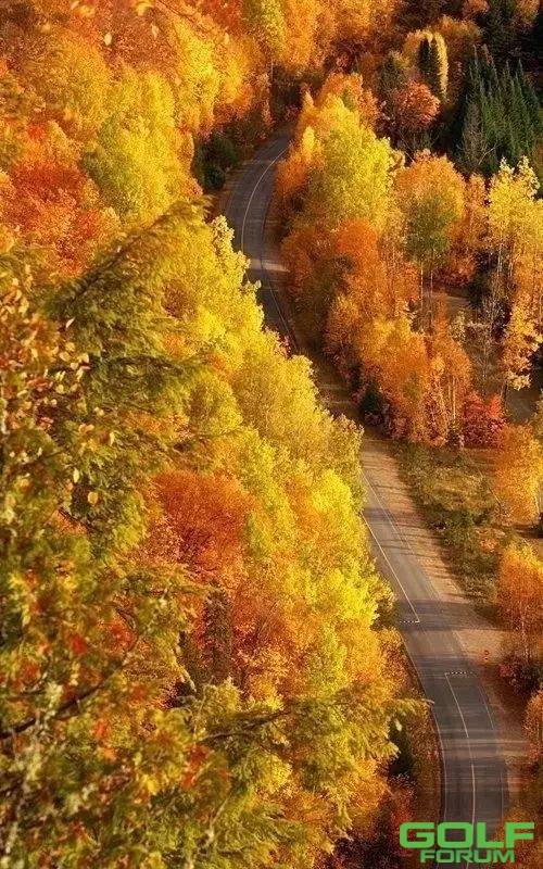 秋天的树，宛如一幅画