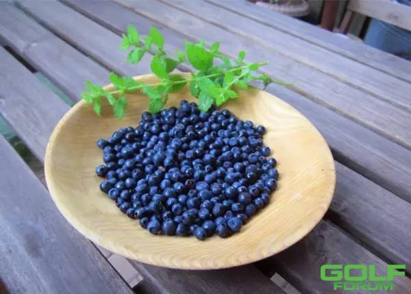 采摘攻略:抚仙湖的甜蜜蓝莓季，别错过营养与美味兼得的赏味期 ...