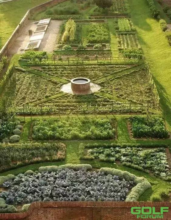 许我一个院子，我要种成这样的菜园