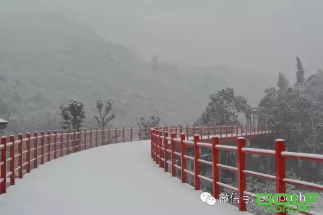 瑞雪兆丰年-龙盘湖雪景