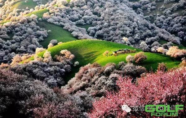 中国这些以花为美的地方，2016年你会和谁一起去？