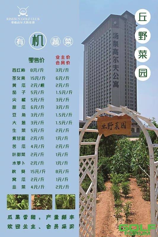 荣盛高尔夫|【丘野菜园】各种有机蔬菜开售！