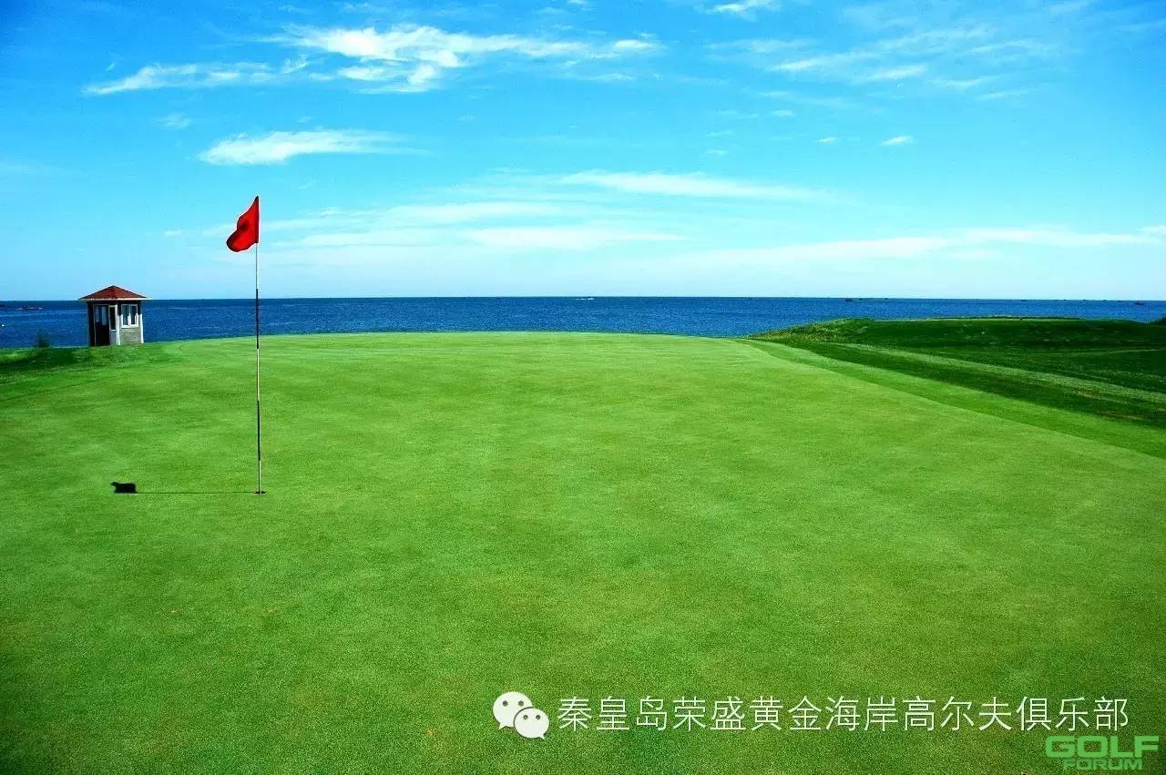 赛事报道---2016年荣盛黄金海岸高尔夫俱乐部春季开场杯 ...