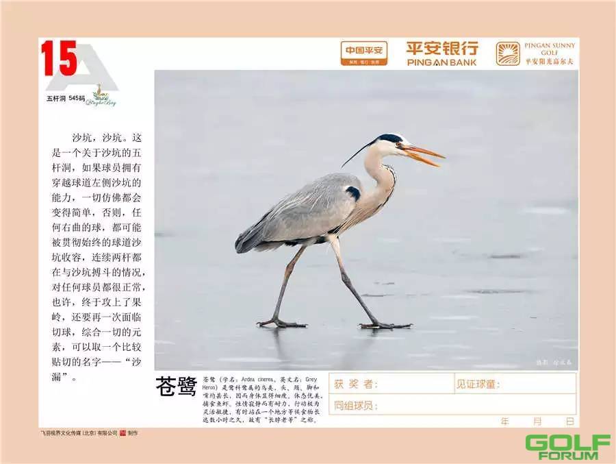 北京清河湾乡村体育俱乐部爱鸟计划