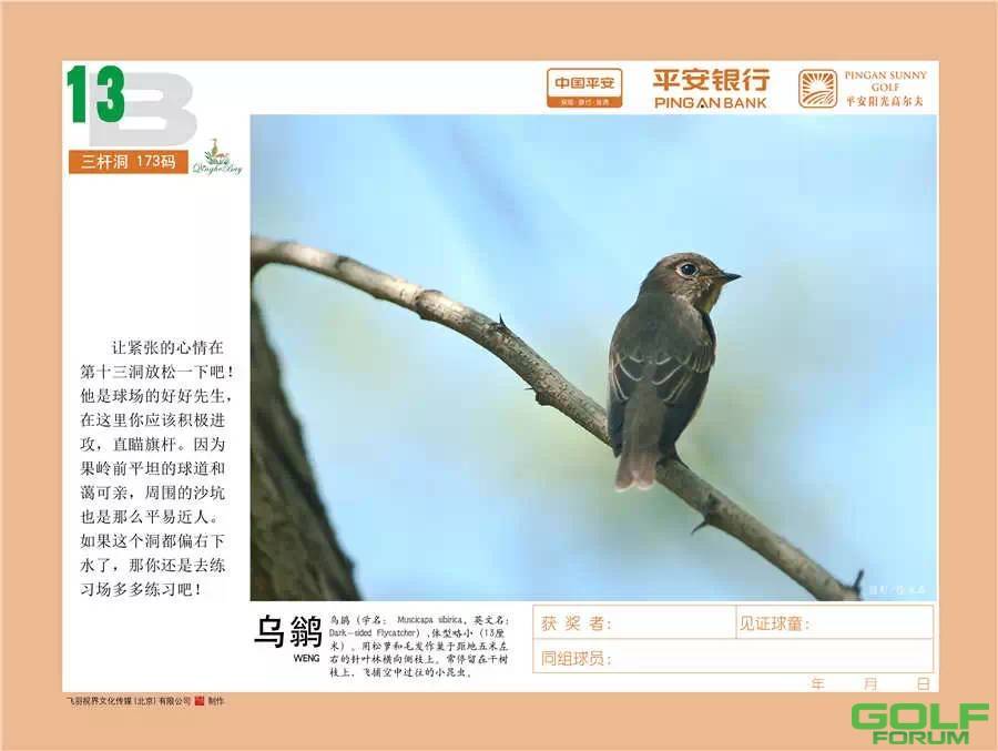 北京清河湾乡村体育俱乐部爱鸟计划