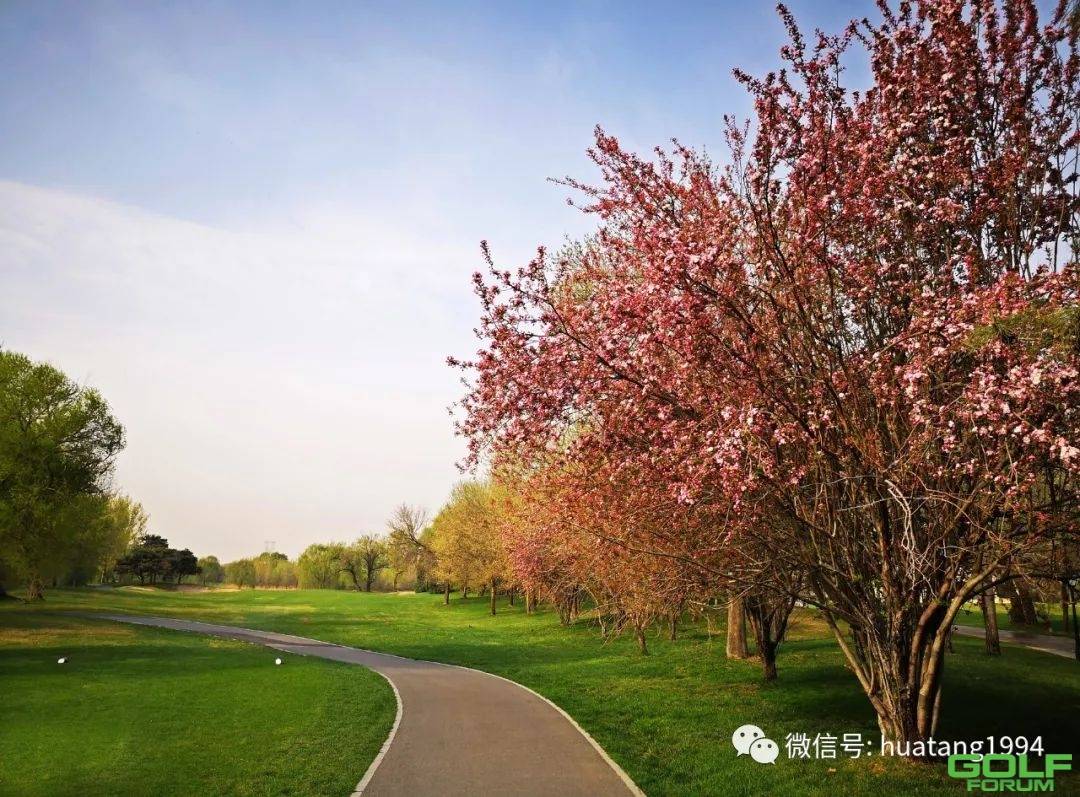 华堂国际高尔夫俱乐部春季场地维护结束。