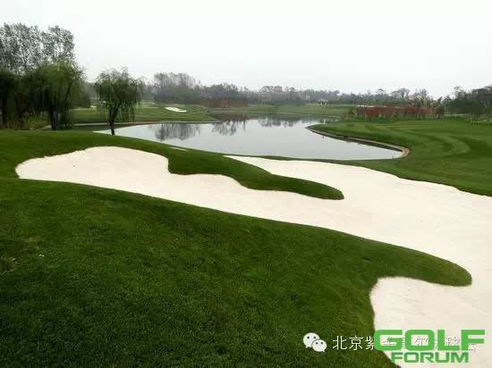 北京紫金高尔夫球会正式发布公众号