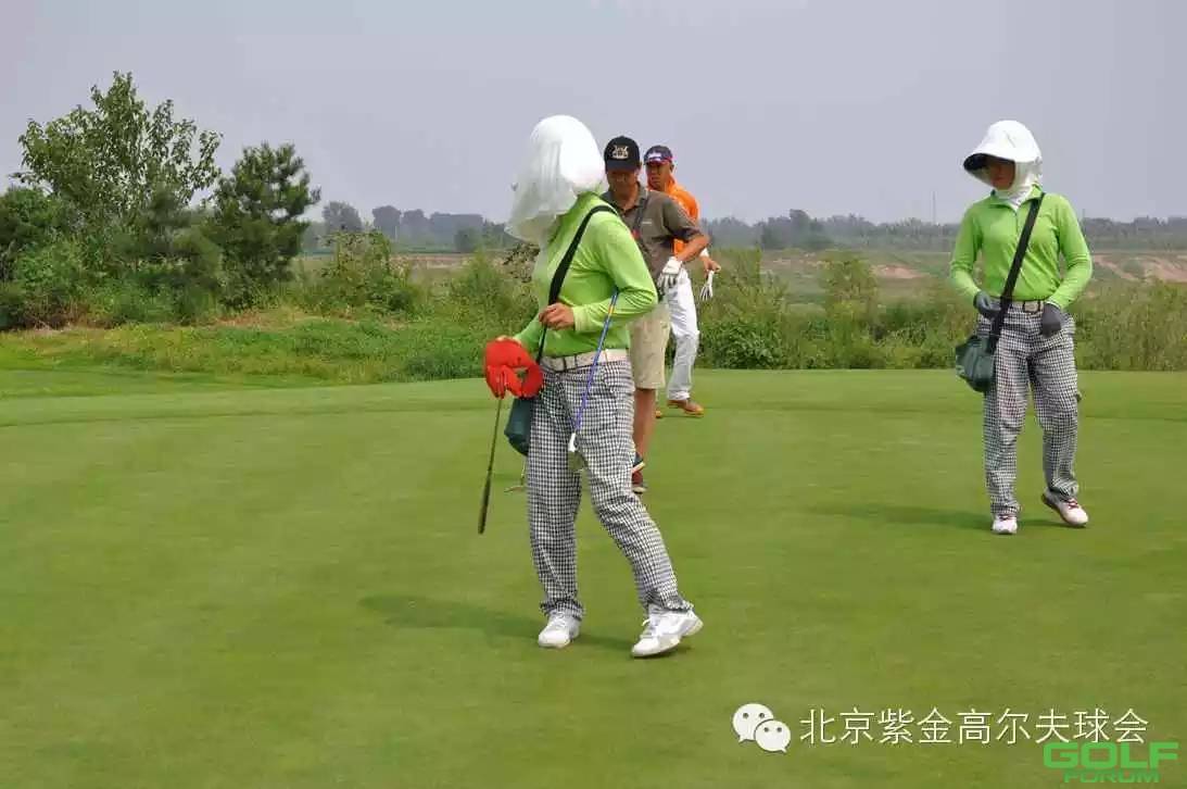 北京紫金高尔夫梦之队8月球员掠影