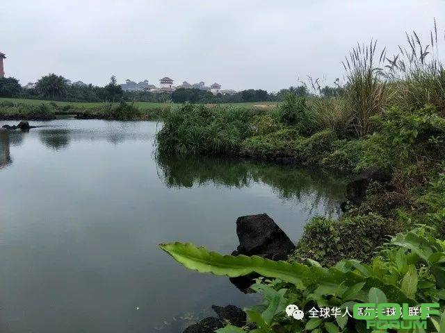 2017凯联资本·WCGA海口观澜湖邀请赛【活动日】