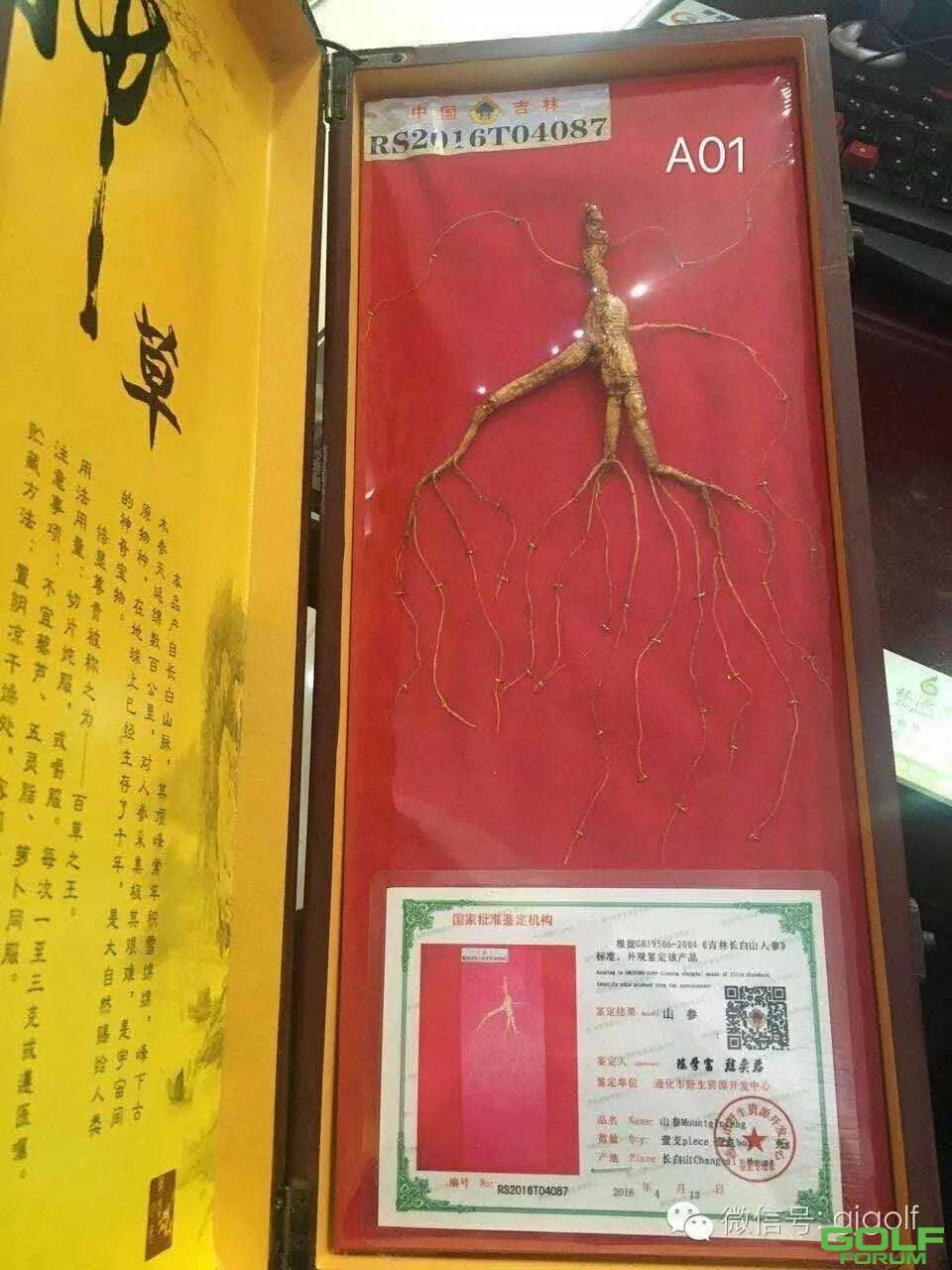 广州市博乐健康产业公司新品大促销