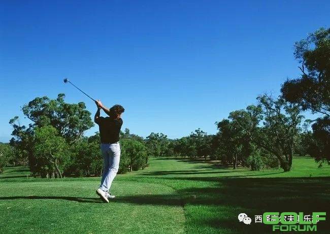 高尔夫|绿色氧吧
