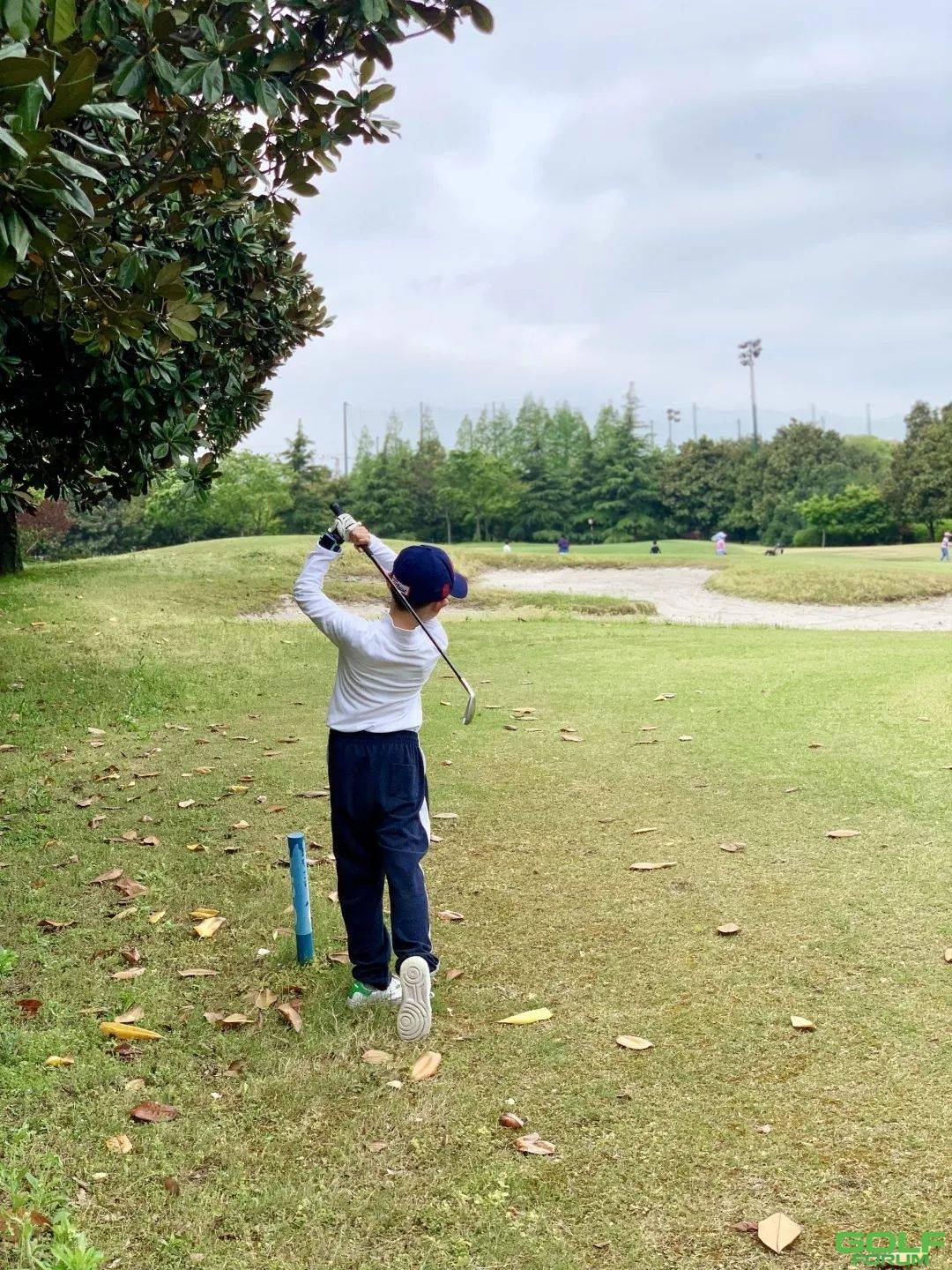 李湘女儿王诗龄打高尔夫动作流畅，为什么明星子女都打高尔夫？ ...