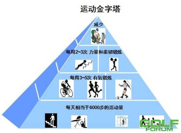什么是运动金字塔？