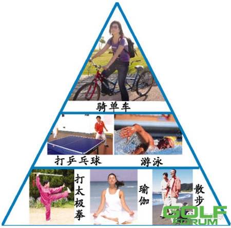 什么是运动金字塔？