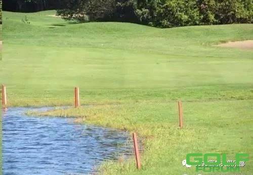 高尔夫在水障碍区有哪些规则？