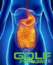 高球常识|打高尔夫球对身体健康的益处