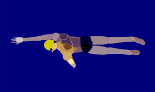 【必看】史上最强游泳动画教程，有了它啥姿势都会
