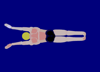 【必看】史上最强游泳动画教程，有了它啥姿势都会