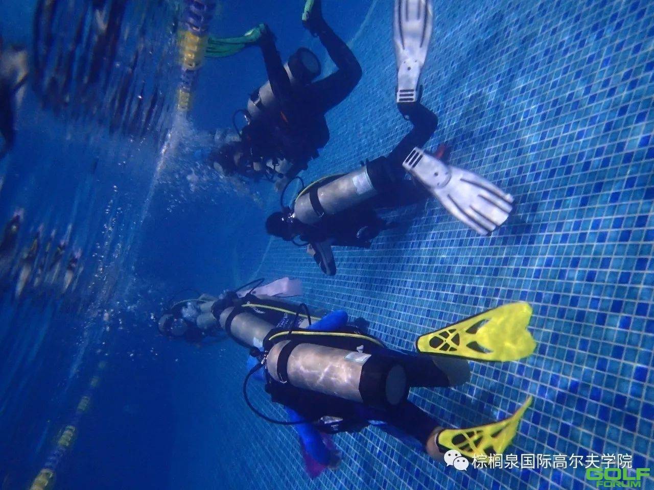 【棕榈泉活动】勇往直“潜”，探索神秘的水下世界