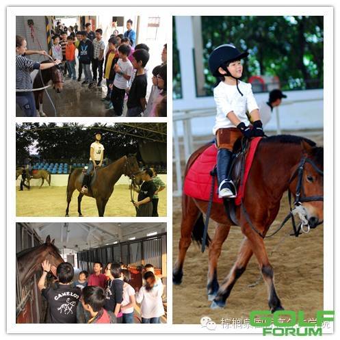 【棕榈泉活动】感受马背上的生活，让您做个快乐的骑士 ...