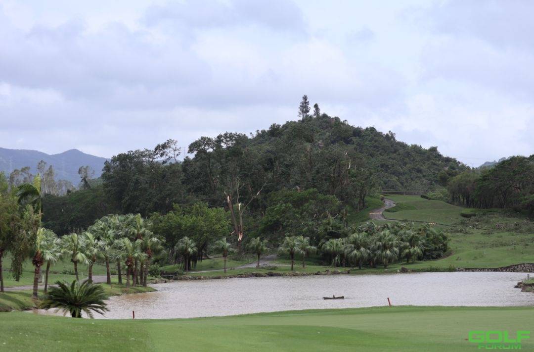 关于台风过后，西丽高尔夫乡村俱乐部恢复正常营业的通知 ...